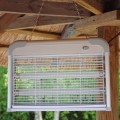 UV tubes for insect lamp